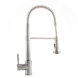ZLINE Apollo Kitchen Faucet FSNZ-SS-1