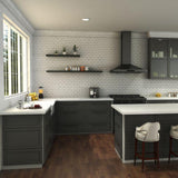 ZLINE Apollo Kitchen Faucet FSNZ-CH-6