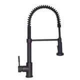 ZLINE Apollo Kitchen Faucet FSNZ-MB-1