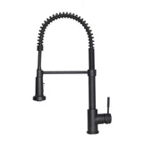 ZLINE Apollo Kitchen Faucet FSNZ-MB