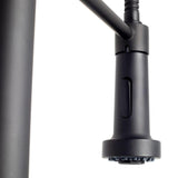 ZLINE Apollo Kitchen Faucet FSNZ-MB-5