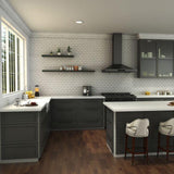 ZLINE Apollo Kitchen Faucet FSNZ-SS-6