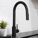 ZLINE Rubicon Pull Down Single Handle Kitchen Faucet in Matte Black, RBCN1-KF-MB - product image 2